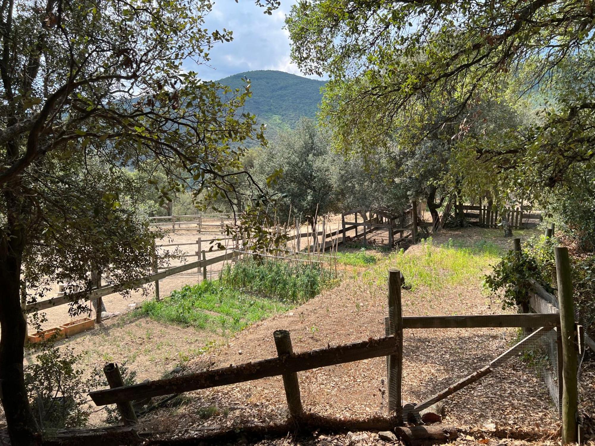 Agullana Can Maimes מראה חיצוני תמונה