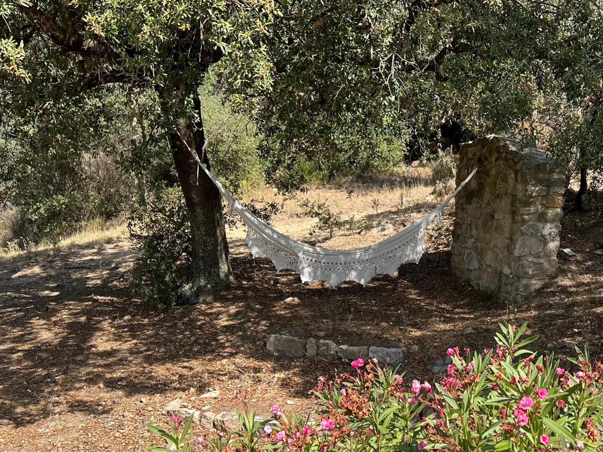Agullana Can Maimes מראה חיצוני תמונה